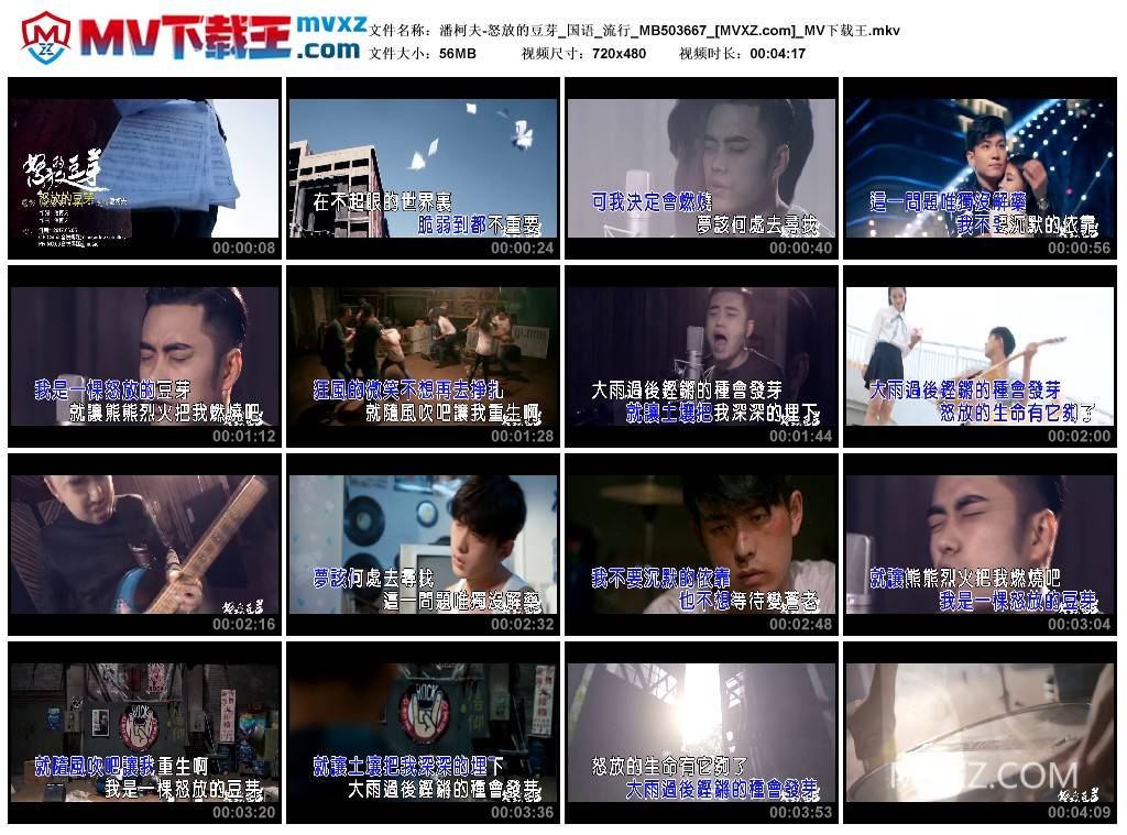 潘柯夫-怒放的豆芽_国语_流行_MB503667